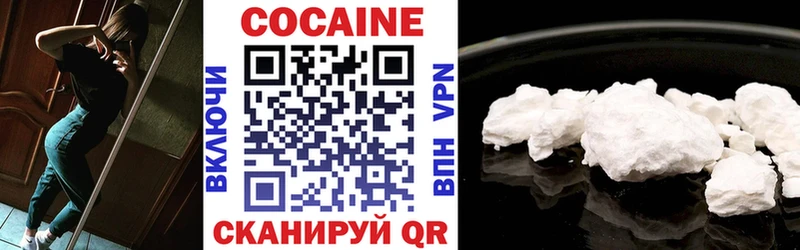 Кокаин Fish Scale  Купить закладки  Нефтегорск 
